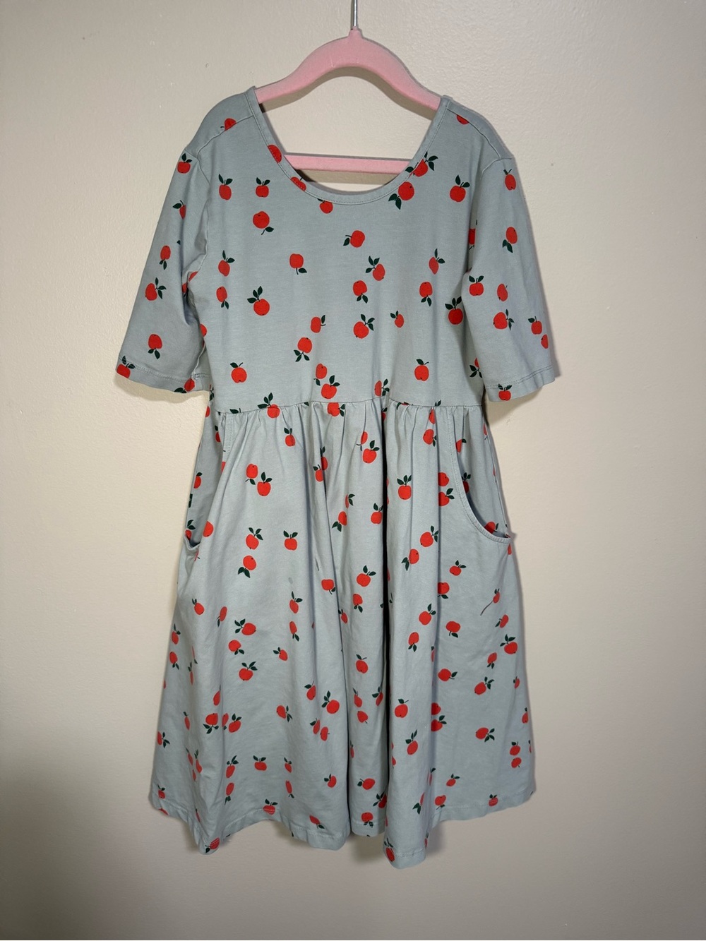 Hanna Andersson Light Blue Dress with Red Apple Print